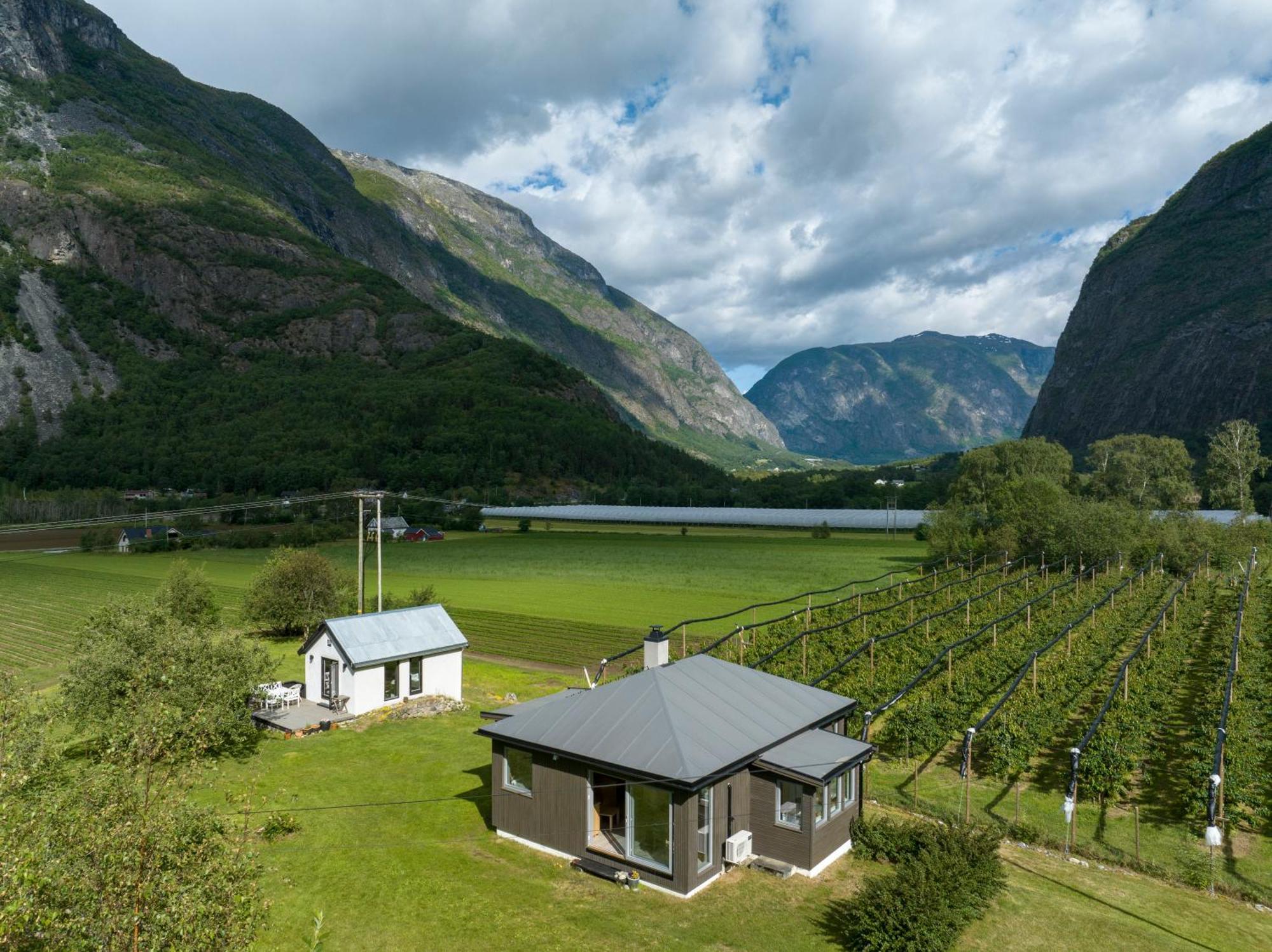 Jordeplegarden Holiday Home - Part Of A Farm - Two Buildings - Close To Flam Laerdalsoyri Ngoại thất bức ảnh