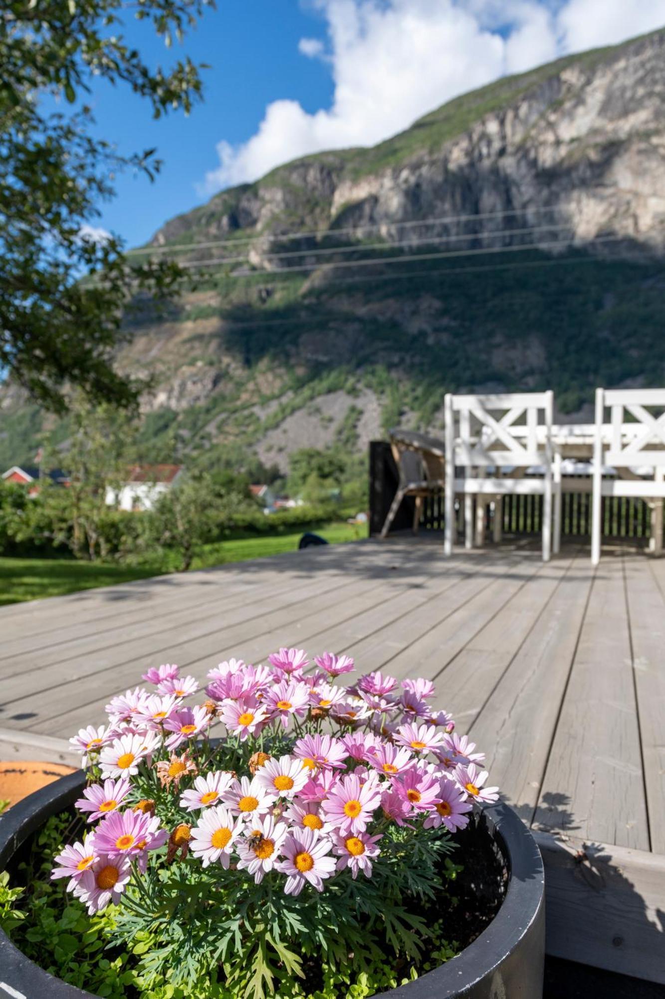 Jordeplegarden Holiday Home - Part Of A Farm - Two Buildings - Close To Flam Laerdalsoyri Ngoại thất bức ảnh